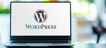 Створення сайтів на WP, тем, плагінів, супровід та виправлення ваших