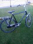 Rower Gazelle Paris Plus