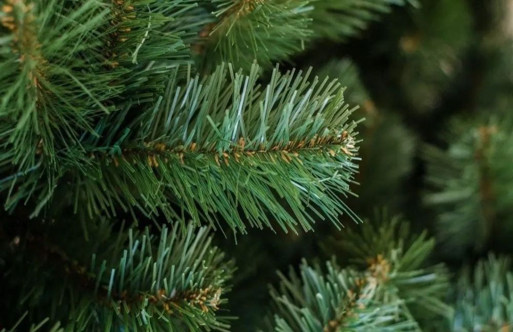 Штучна зелена ялинка 2,30м