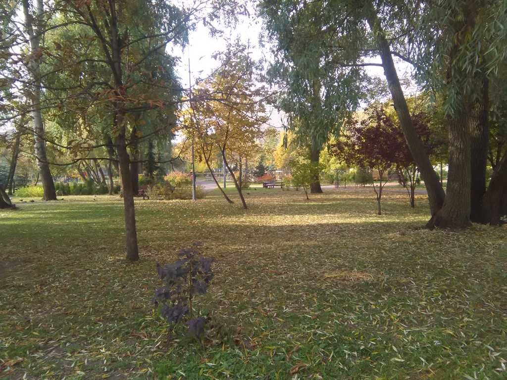 Здам 1к квартиру, Теремківська вул., 2а, біля ст.м."Теремки"
