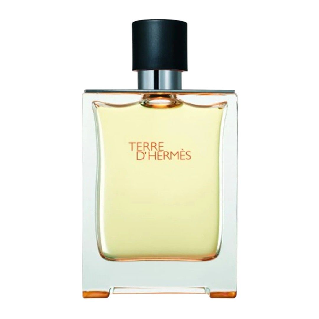Hermès Terre d’Hermès Eau De Toilette 100 ML
