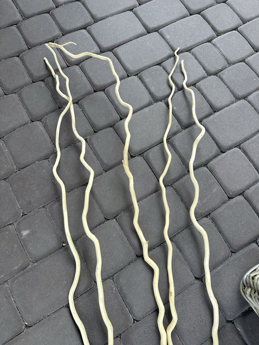 Ozdoby do domu do wazonu