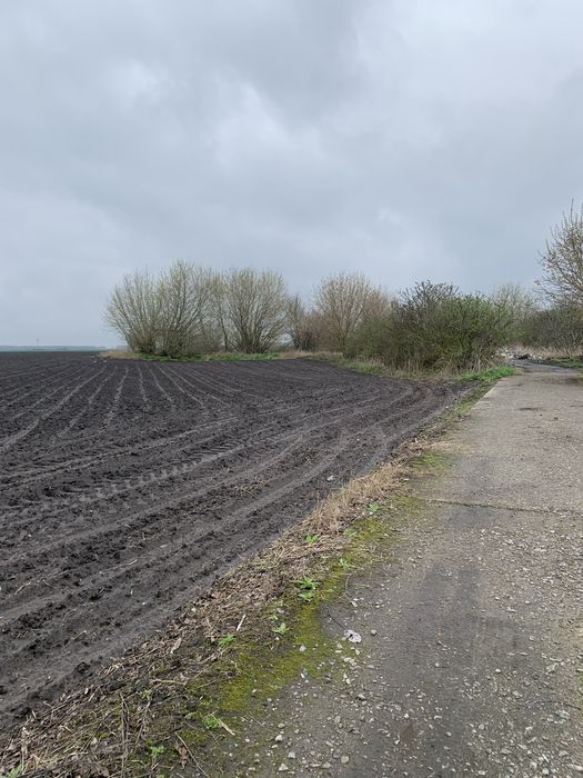 Продам або обіняю ділянку