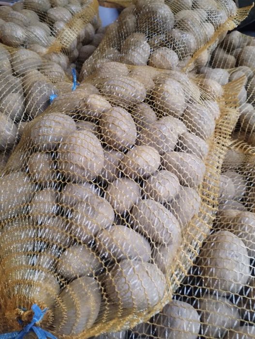 Ziemniaki żółte oraz czerwone