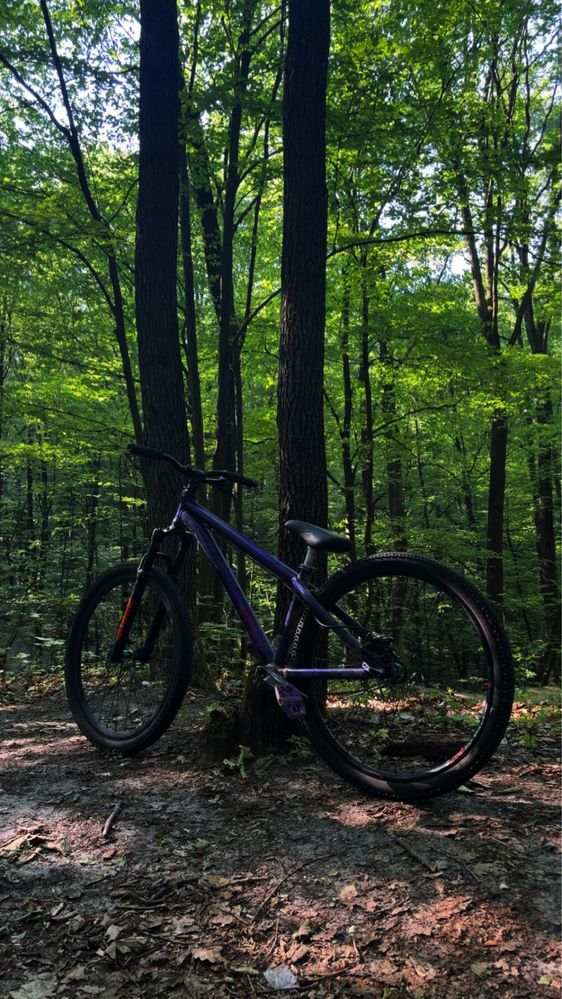 dirt octane one zircus 2014