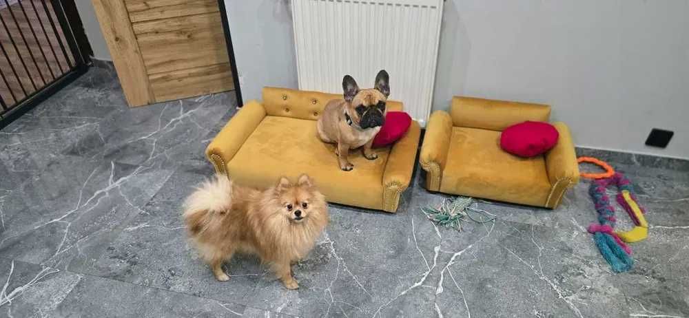 Duże legowisko kanapa sofa dla psa kota