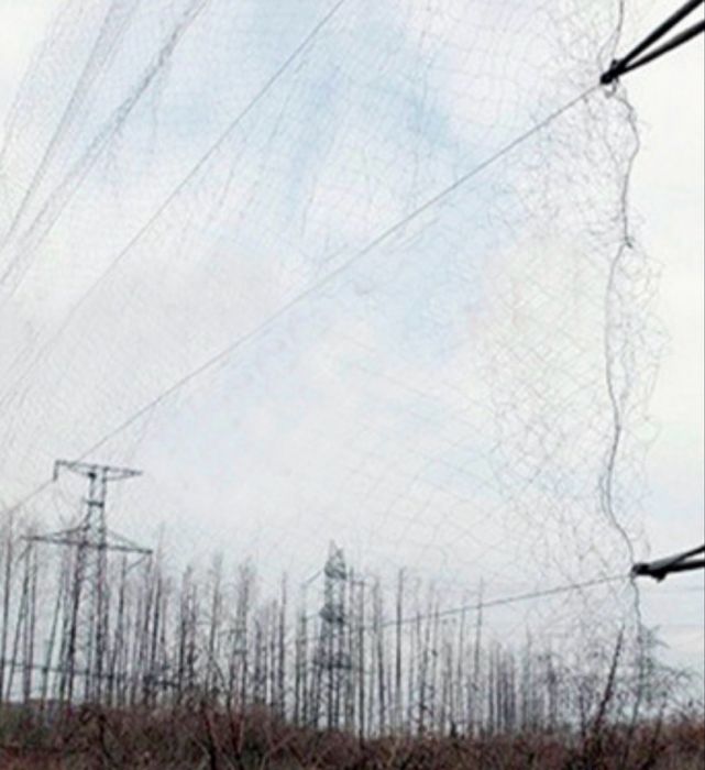 Redes para aves varios tamanhos