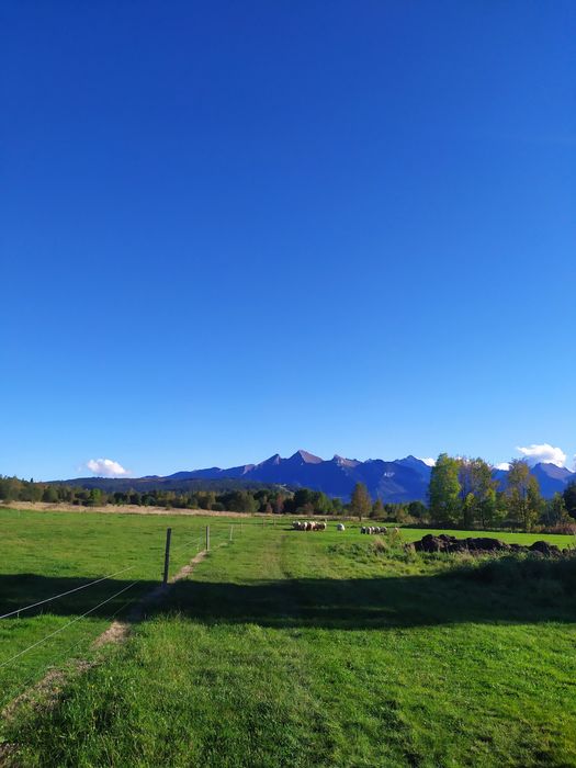 Apartamenty , pokoje