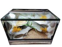 Terrarium szklane nr84 60/40/40 dla gekona lamparciego NA ZAMÓWIENIE