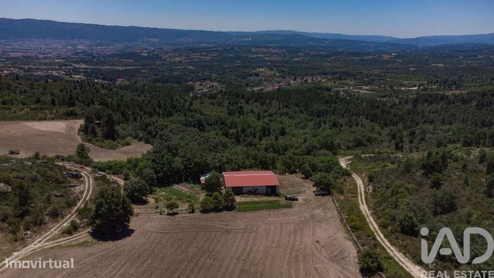 Terreno em Santa Cruz/Trindade E Sanjurge de 55000,00 m2