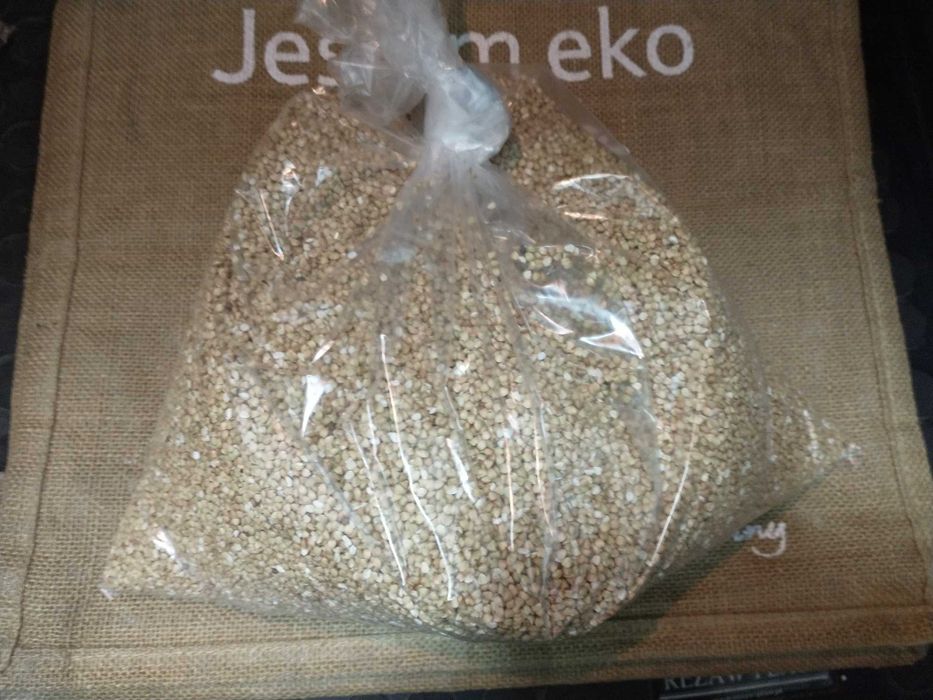 Kasza gryczana z pola bez roundup