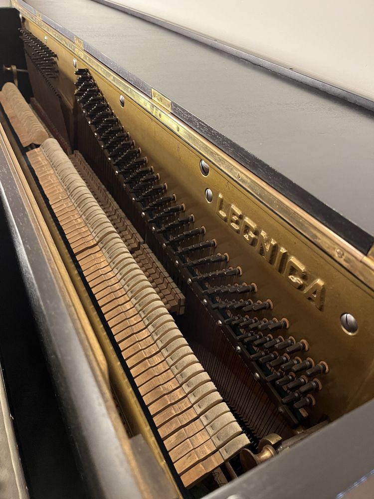 Pianino Legnica, idealne na start szkoły muzycznej