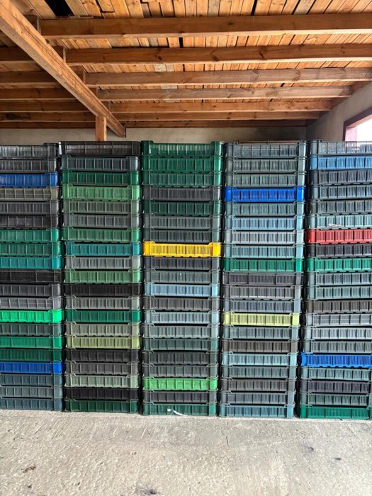 Продам ящики чешки б/у, в хорошому стані