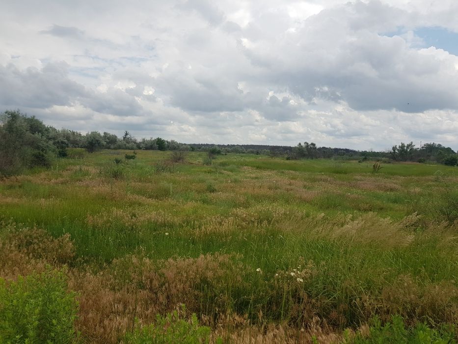 Земля в Галициново