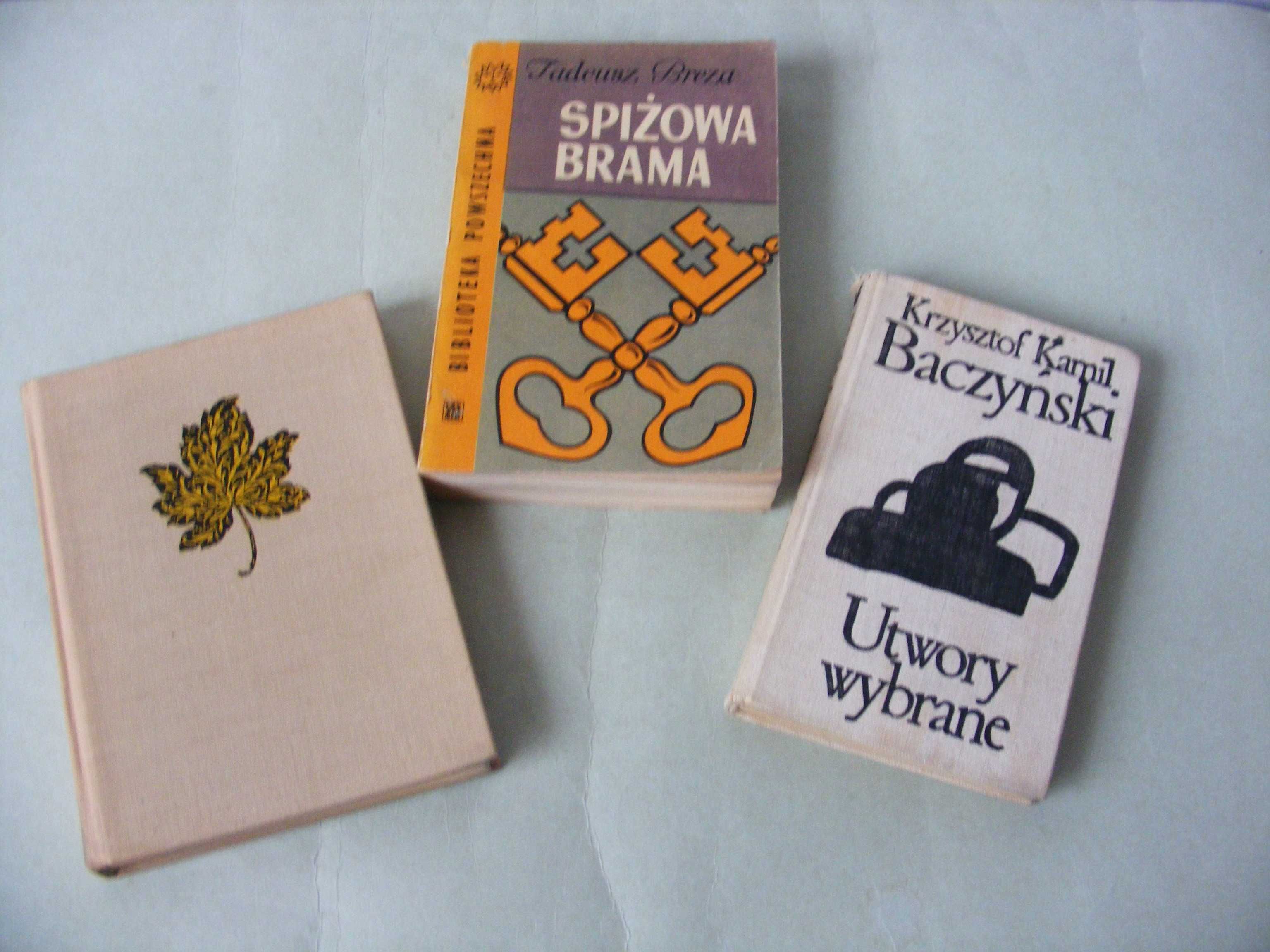 Znojny chleb Umiński / Spiżowa brama Breza / Utwory wybrane Baczyński