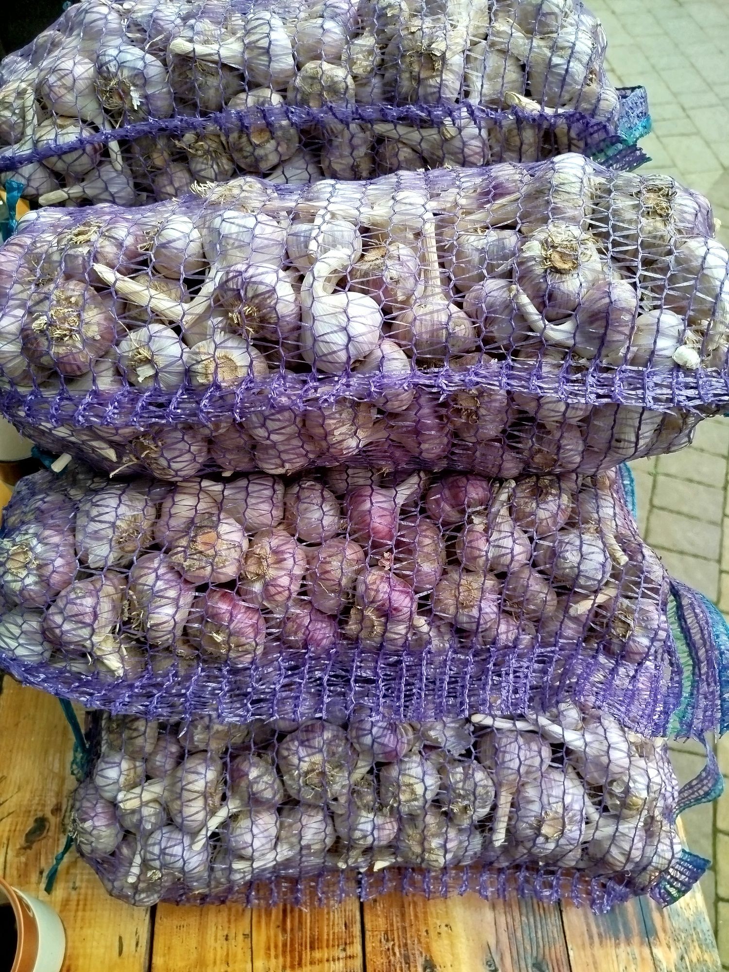 Часник сорт любаша перша репродукція