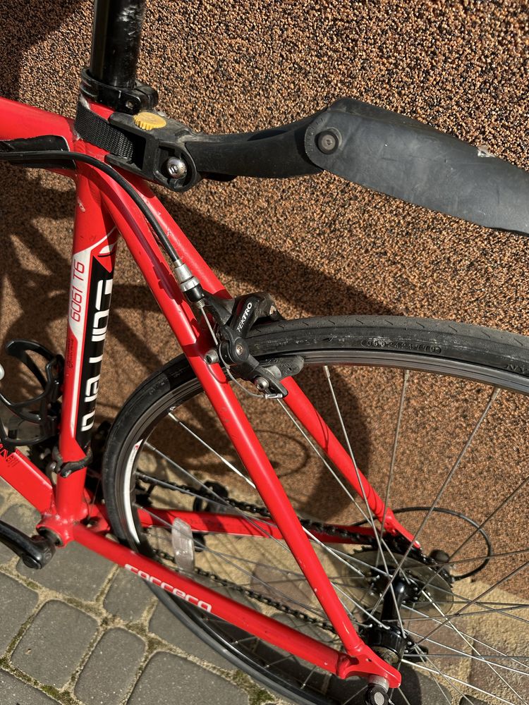 Kolarka kolarzówka carrera rower szosowy shimano cube scott kellys