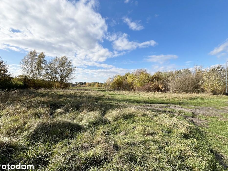 Ładna działka Nieborów ul. Świerkowa
