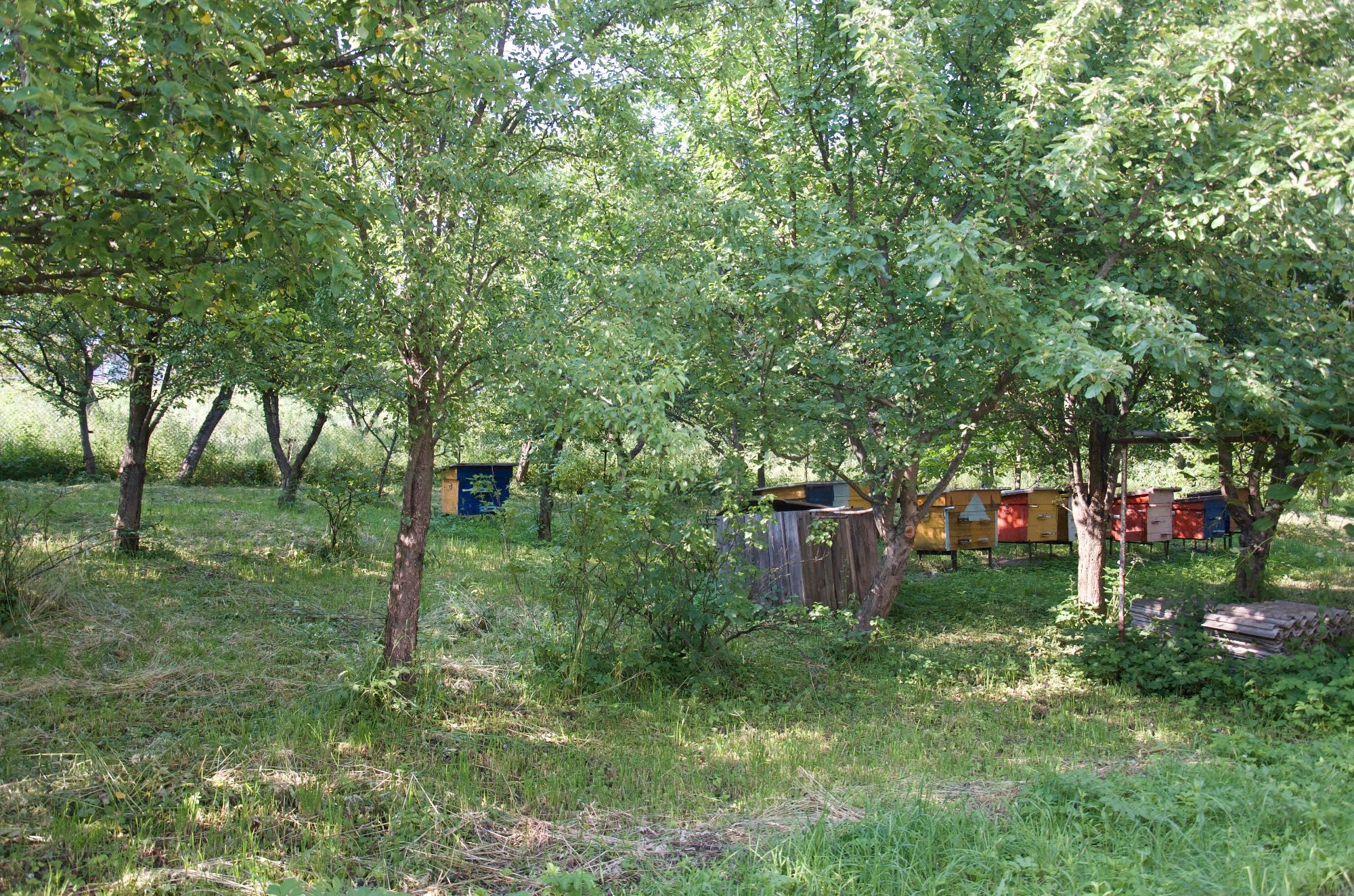 Будинок з великим садом