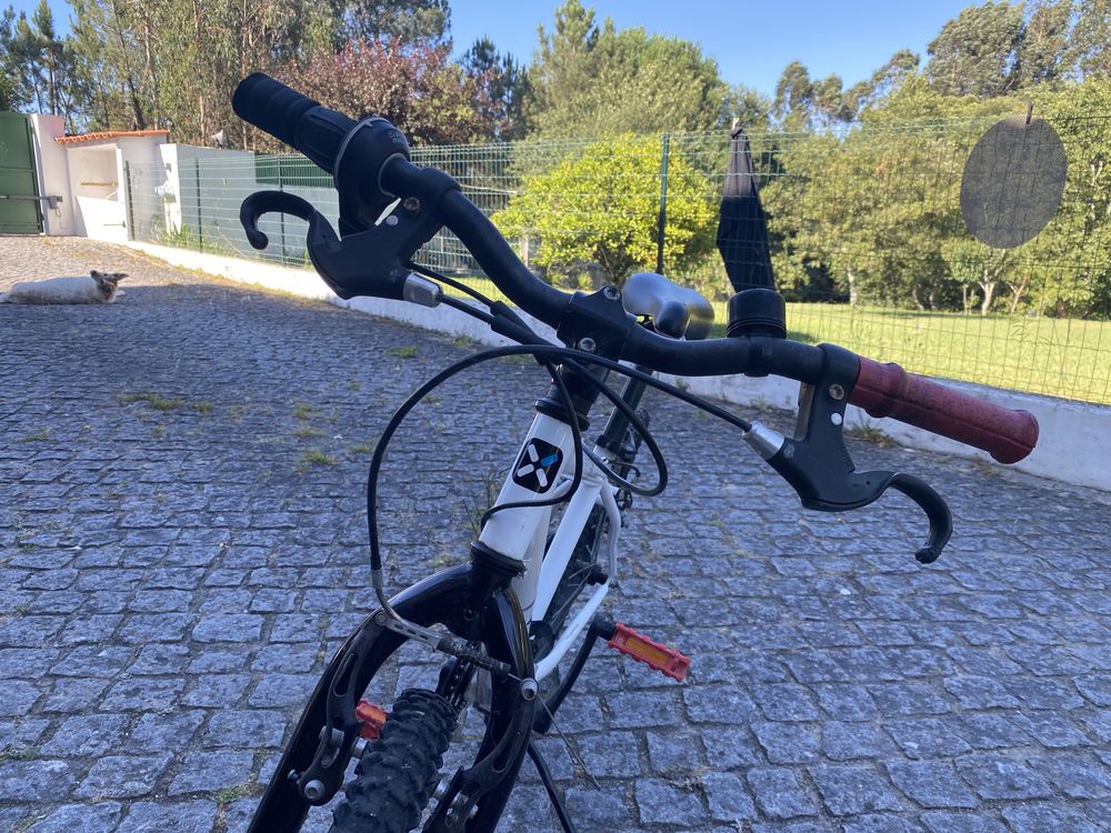 Bicicleta BTT rapaz 24”