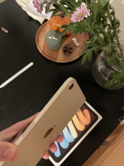 Ipad mini 6 + etui i rysik