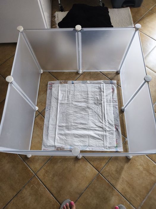 Parque de treino para cachorros