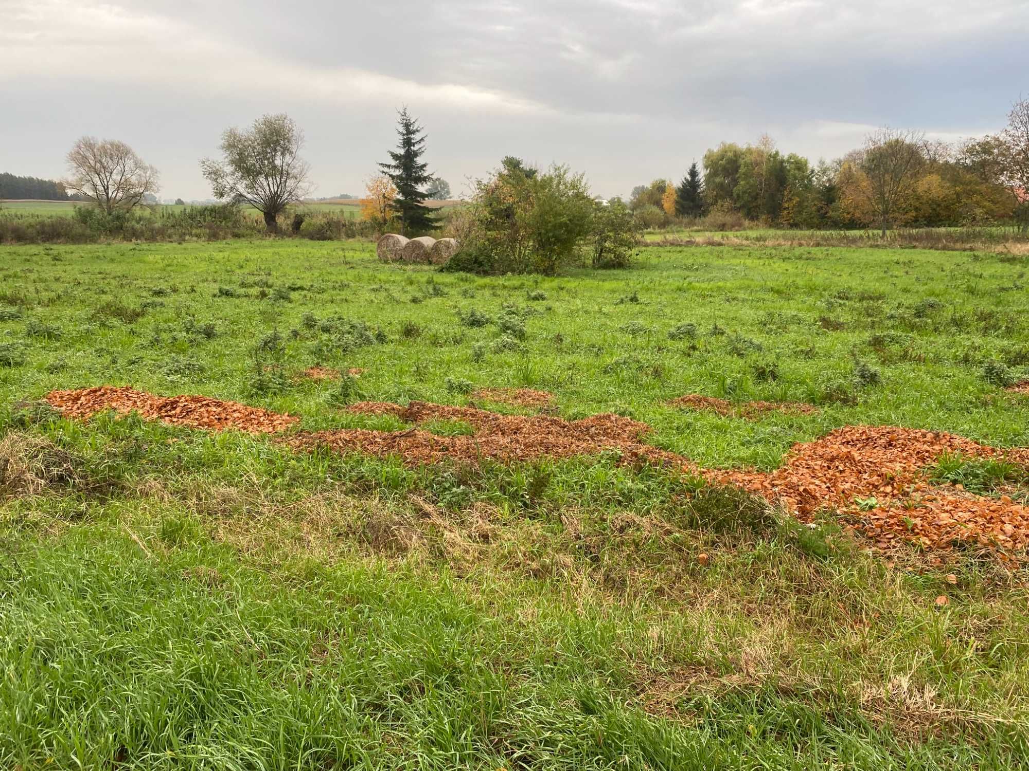 działka wagrowiec tarnowo pałuckie dobra lokalizacja droga utwardzona