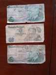Notas de vinte escudos.