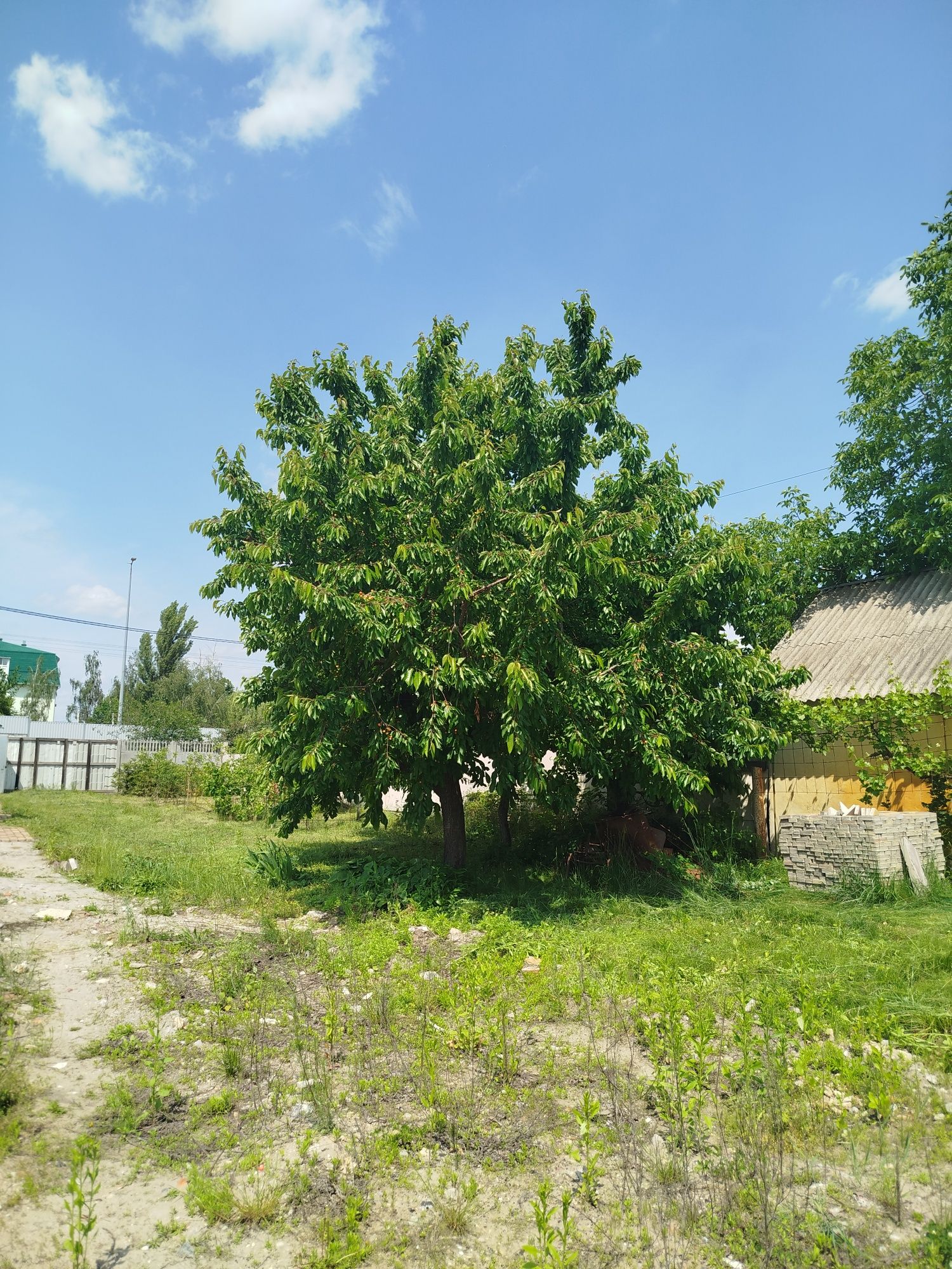 Продам фасадну земельну ділянку