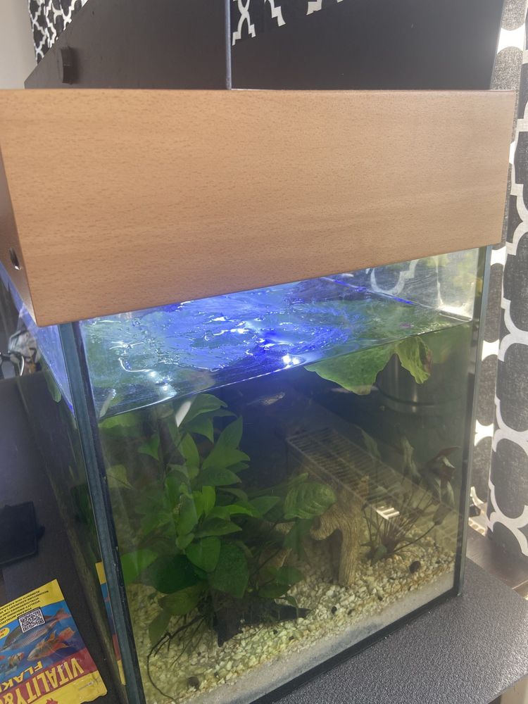Sprzedam arwarium 120l