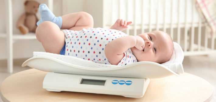 Дитячі ваги напрокат /(Весы для новорожденных) - доставка за 20 хвилин