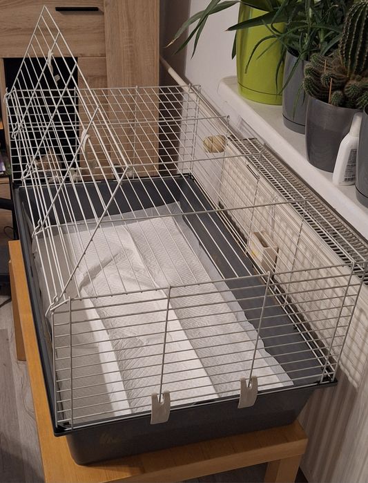 Klatka dla królika/swinki morskiej