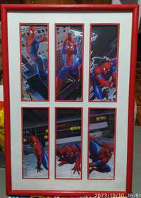 Quadro Spider Man