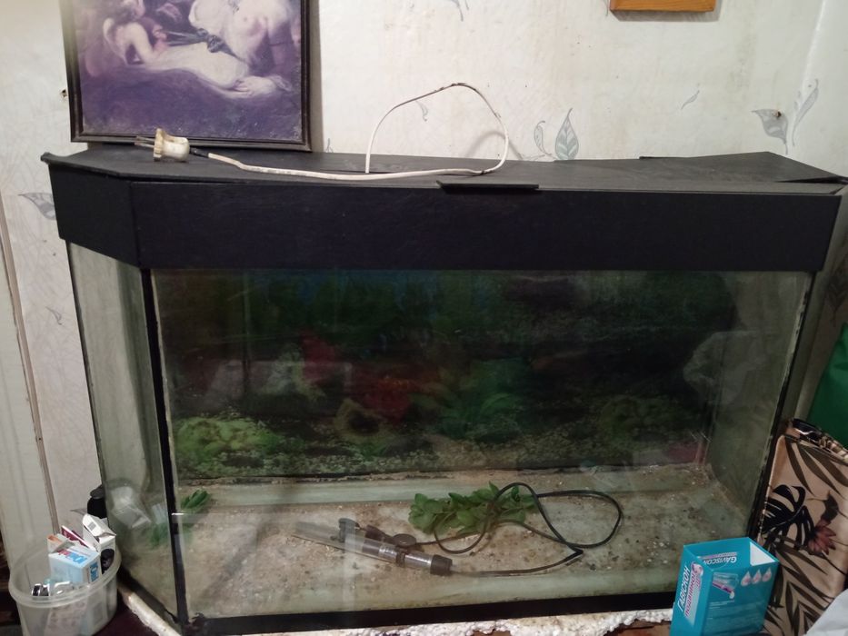 Продаю аквариум недорого