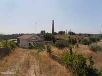Quinta