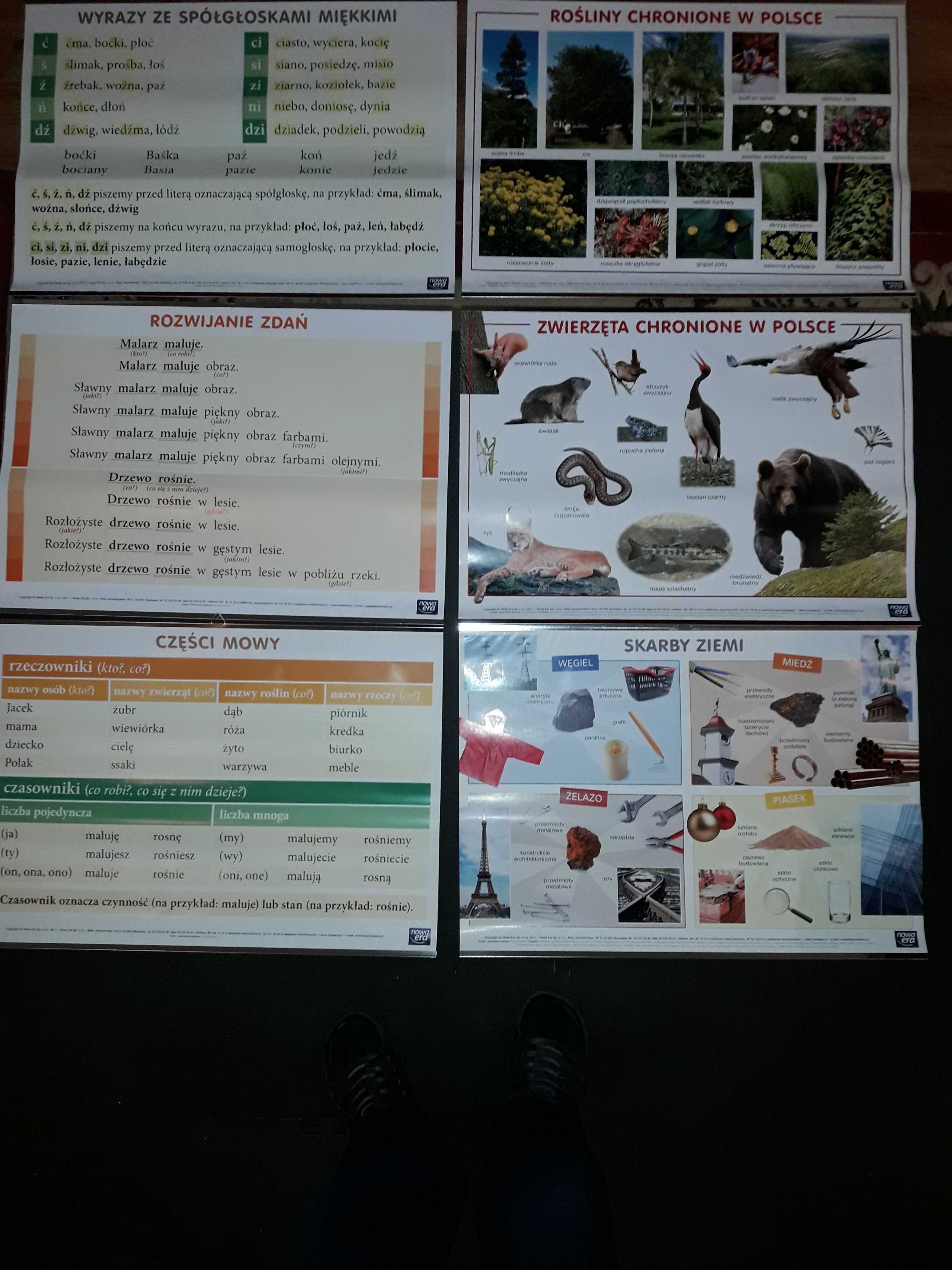 Plansze dydaktyczne edukacyjne
