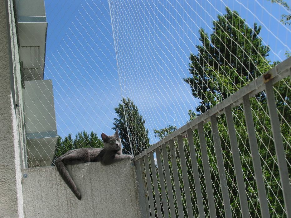 Siatka dla kota Na balkon Przeciw gołębiom Montaż Łódź