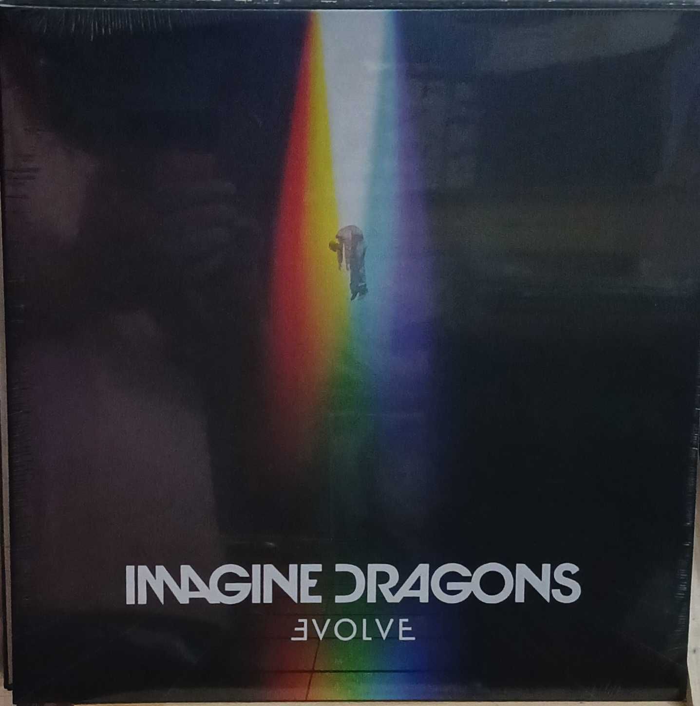 Коллекция виниловых пластинок Lenny Kravitz Offspring Imagine Dragons