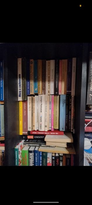 mystery zestaw mix książek historyczne 1 i 2 wojna światowa