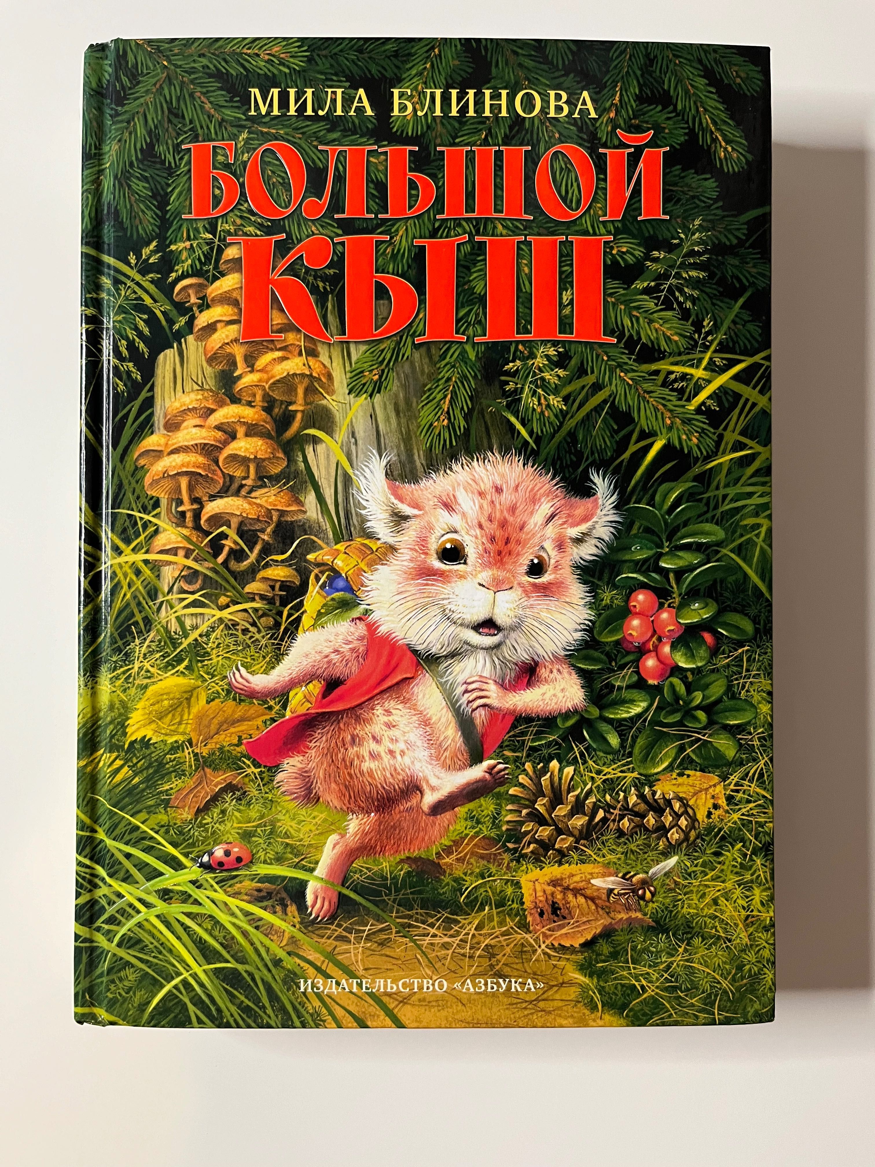 Детская книга Большой Кыш