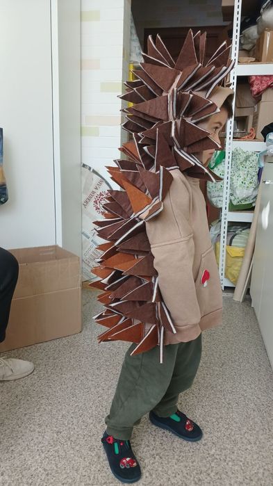 Оренда прокат костю їжачка