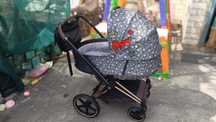 Коляска Cybex Prime Rebellious