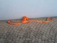 Pas transportowy