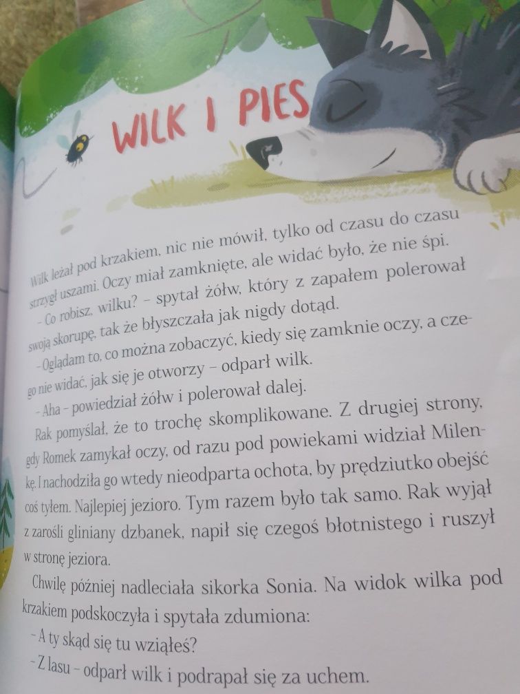 Gang Swojaków z Biedronki