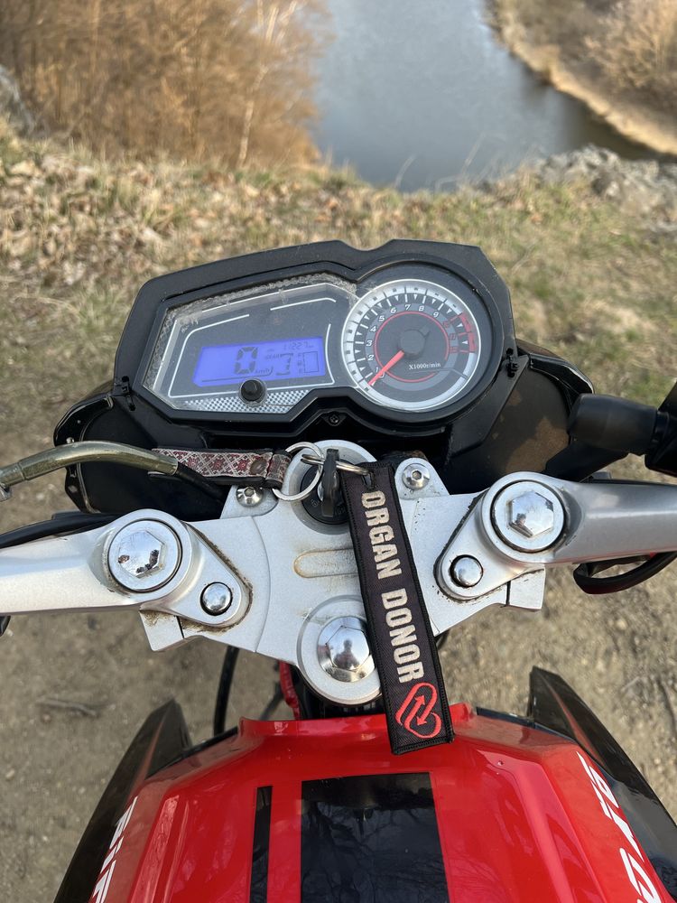 Продам skymoto bird x6