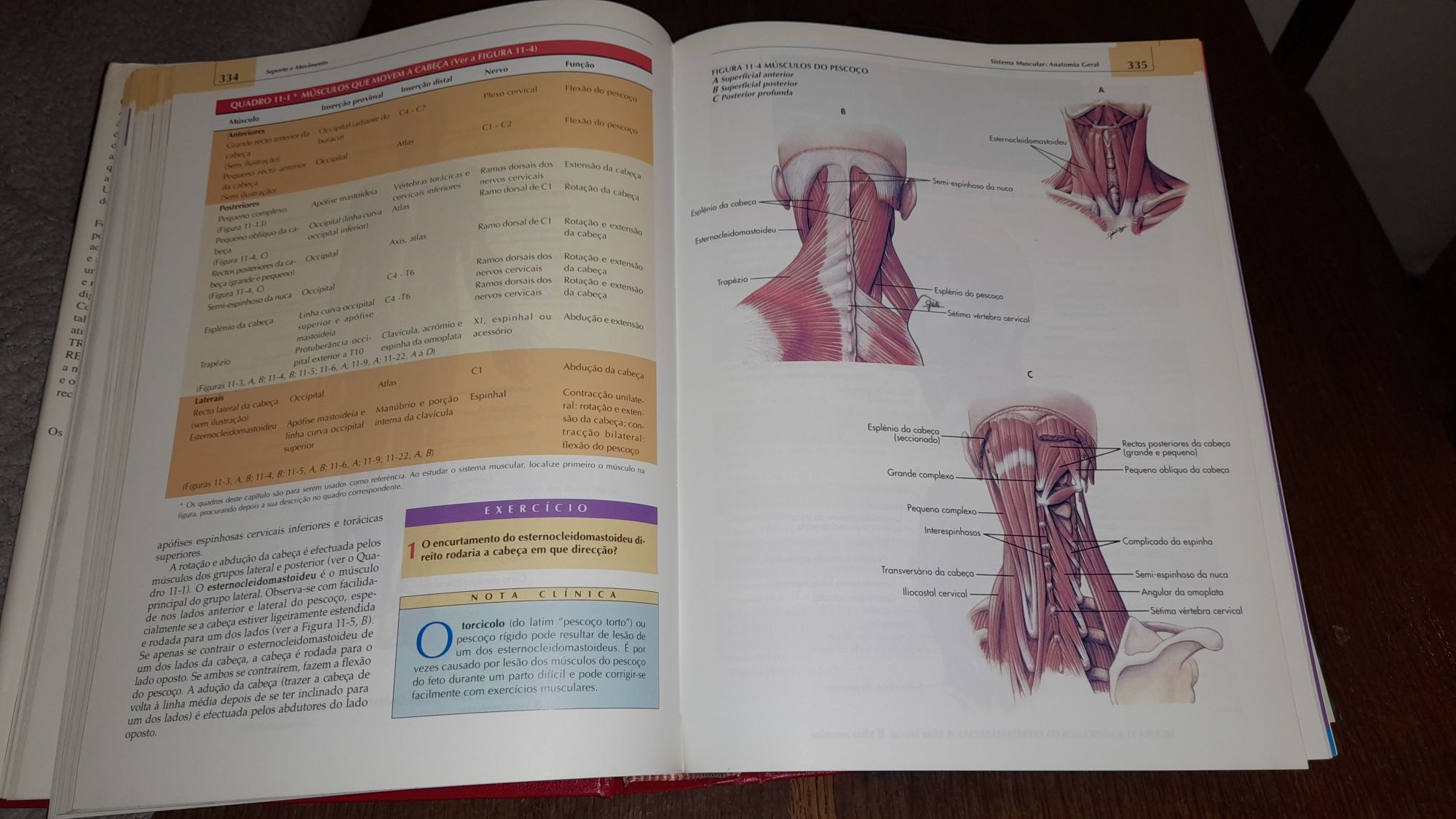 Livro Anatomia e Fisiologia