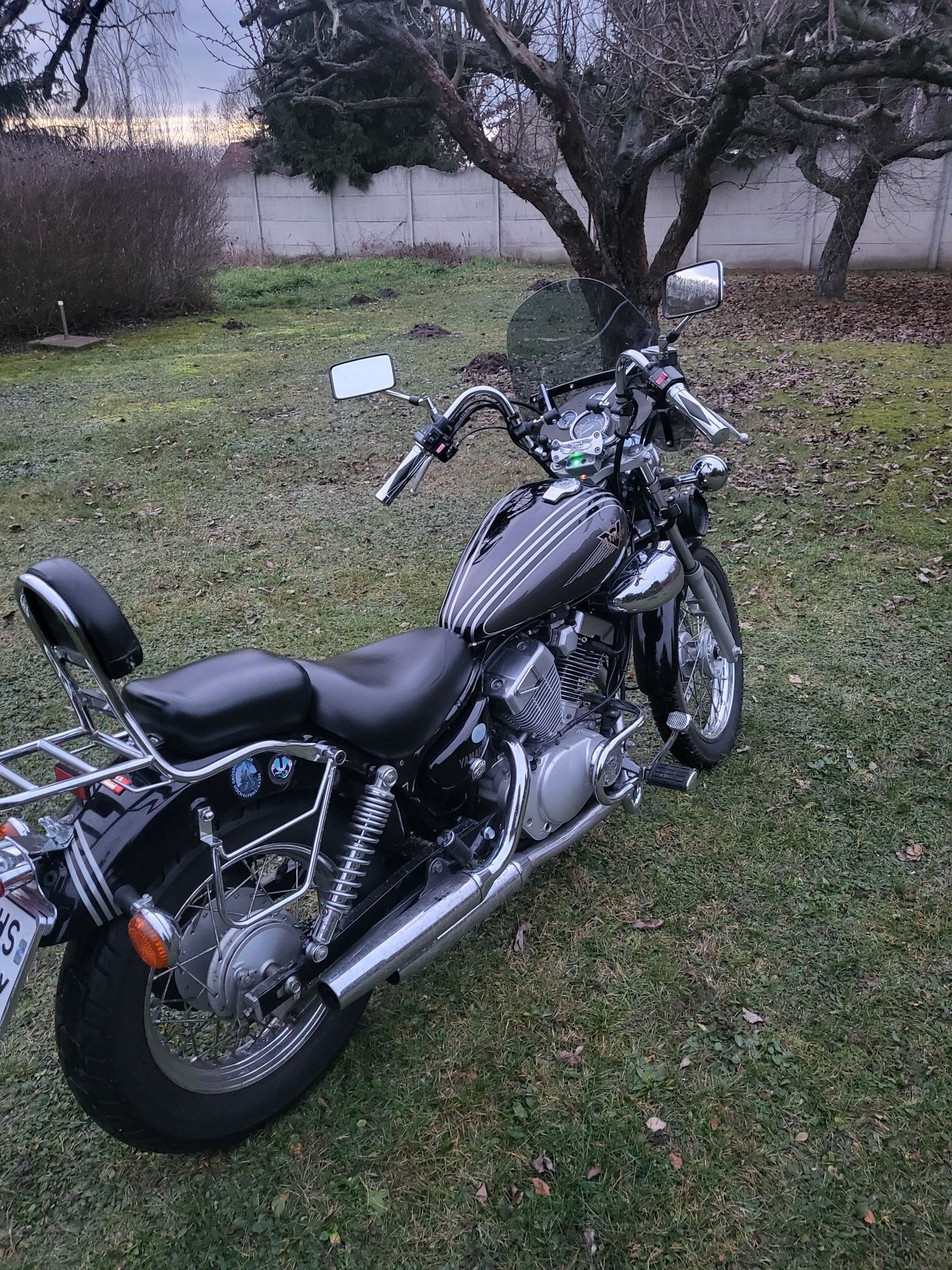 Yamaha Virago 125