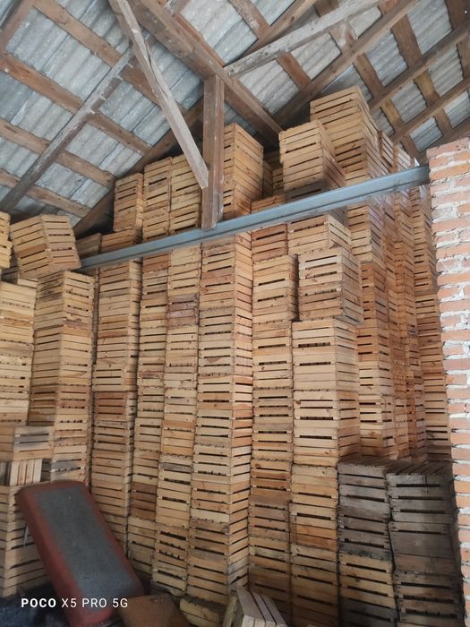 Skrzynki drewniane jedynki około 500 sztuk