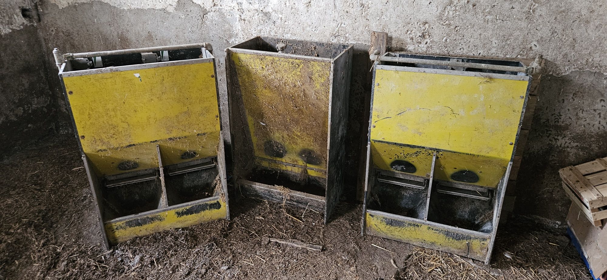 Karmnik paszowy automat paszowy
