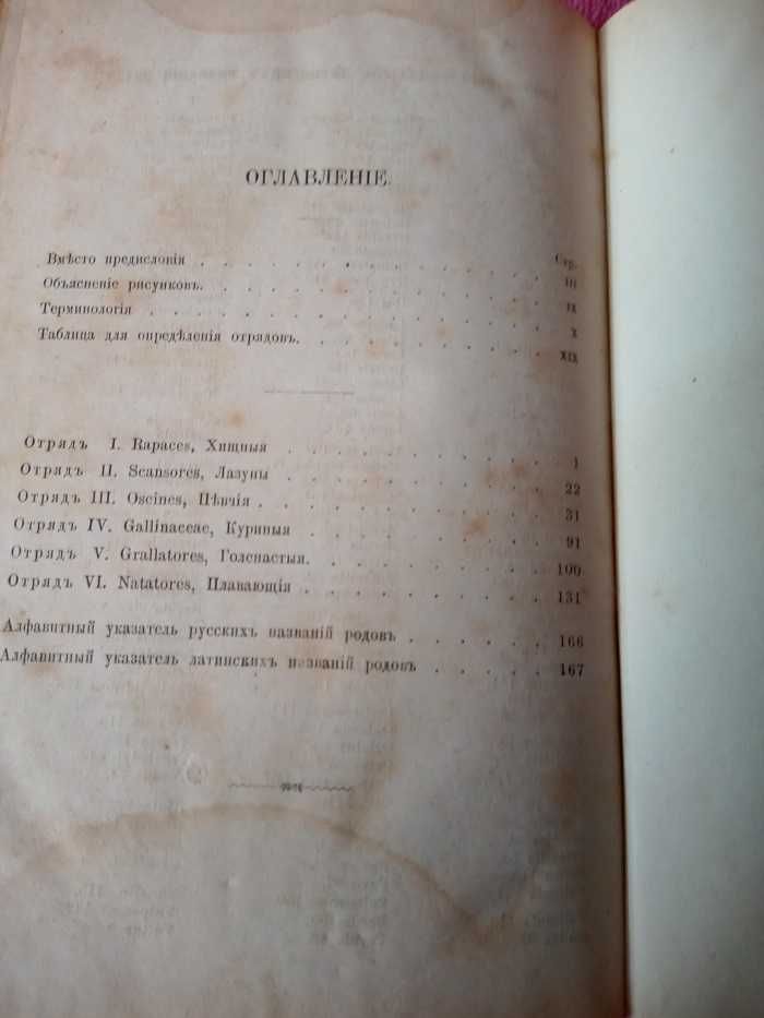 .Определитель птиц Европейской России 1880 года.